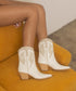 Houston Cowboy Boots